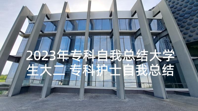 2023年专科自我总结大学生大二 专科护士自我总结报告参考(实用5篇)