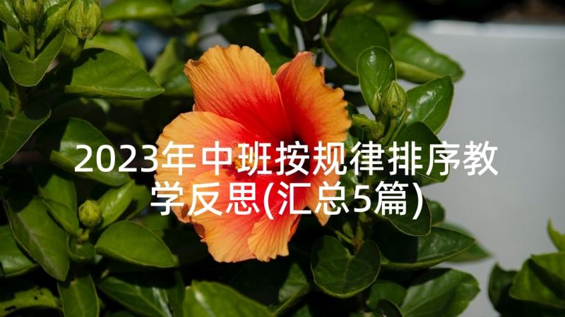 2023年中班按规律排序教学反思(汇总5篇)