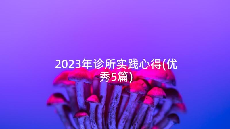 2023年诊所实践心得(优秀5篇)