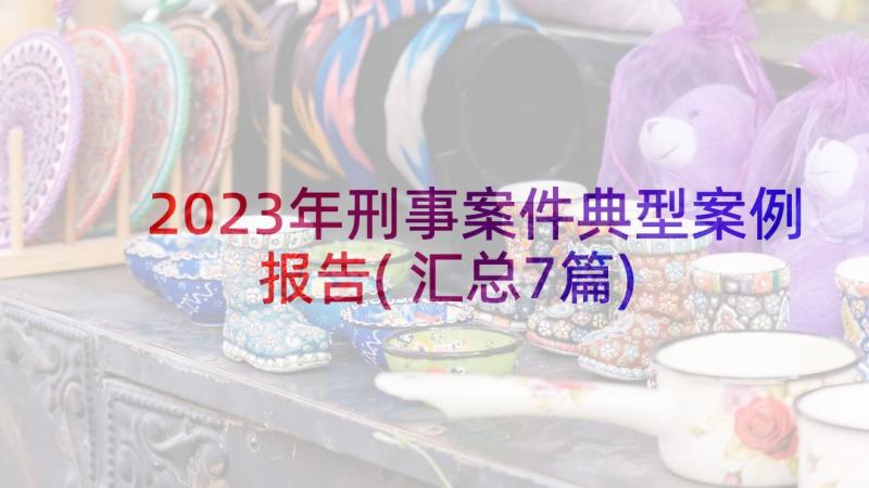 2023年刑事案件典型案例报告(汇总7篇)