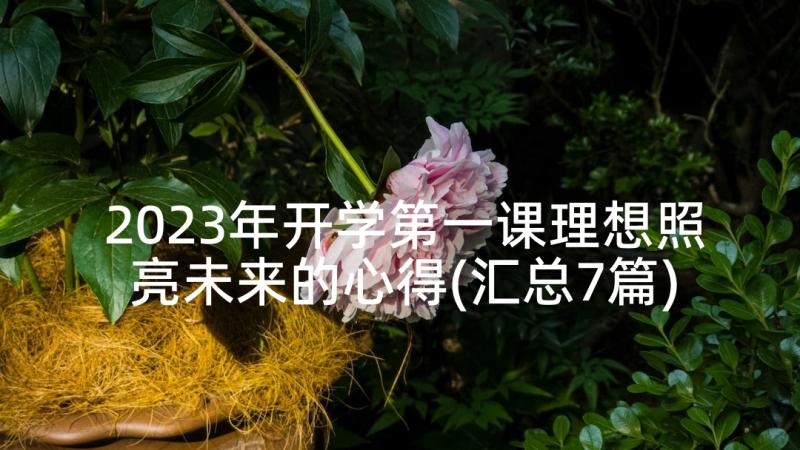 2023年开学第一课理想照亮未来的心得(汇总7篇)