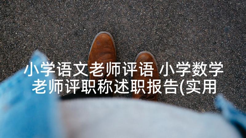 小学语文老师评语 小学数学老师评职称述职报告(实用9篇)