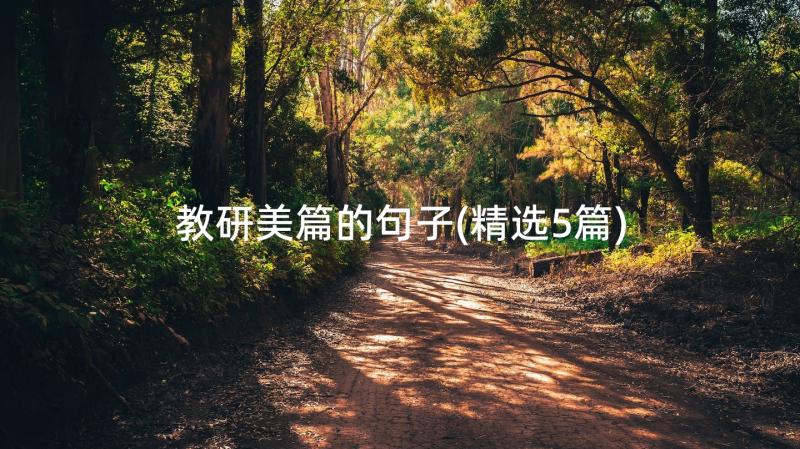 教研美篇的句子(精选5篇)