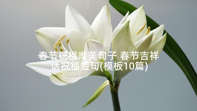 春节祝福唯美句子 春节吉祥话祝福短句(模板10篇)