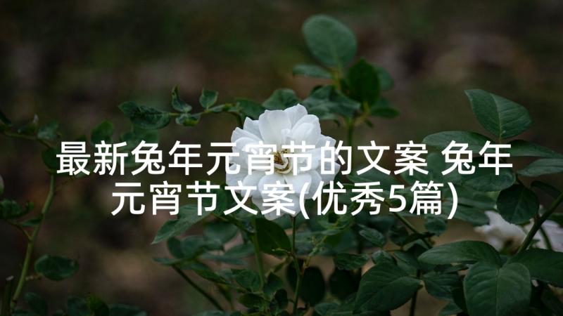 最新兔年元宵节的文案 兔年元宵节文案(优秀5篇)