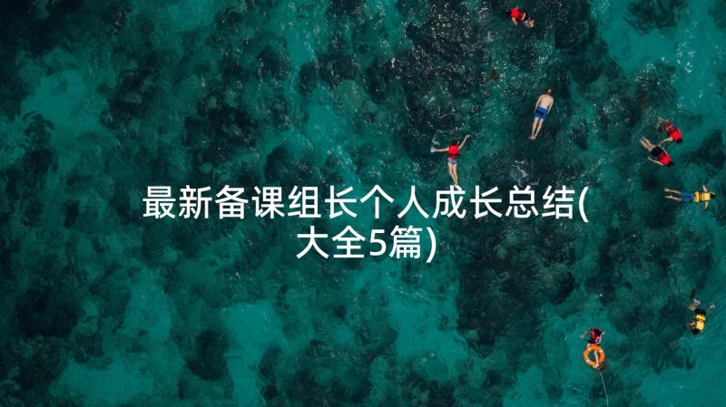 最新备课组长个人成长总结(大全5篇)