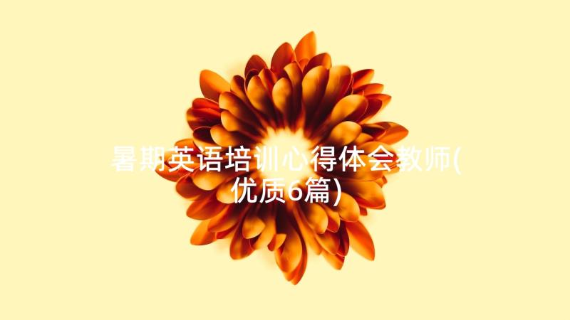 暑期英语培训心得体会教师(优质6篇)