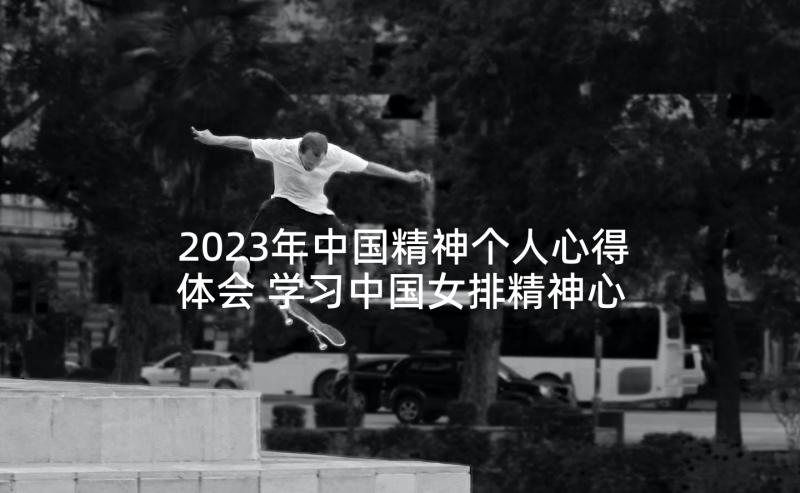 2023年中国精神个人心得体会 学习中国女排精神心得体会(汇总6篇)