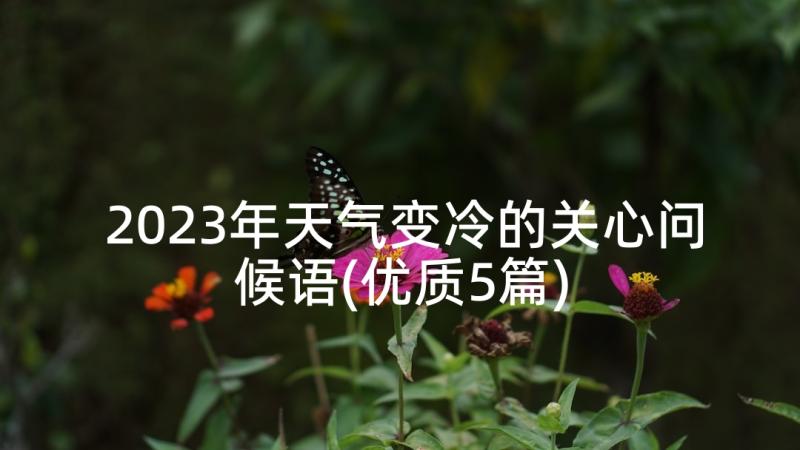 2023年天气变冷的关心问候语(优质5篇)