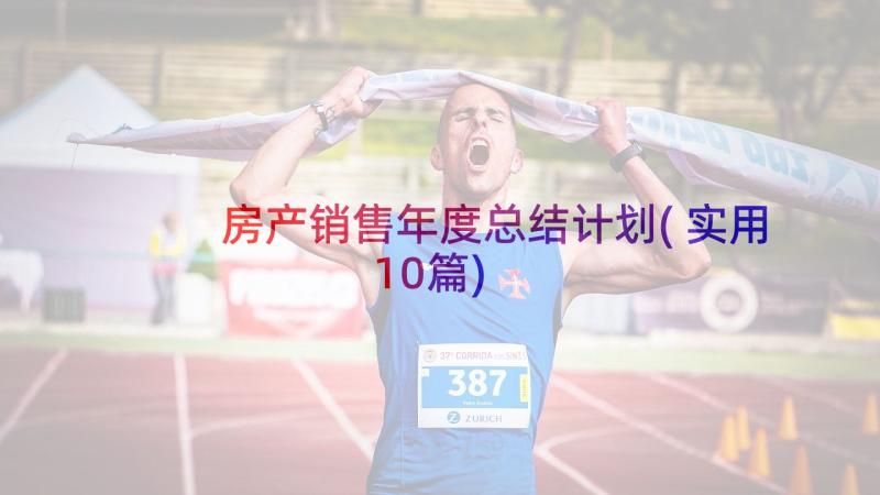 房产销售年度总结计划(实用10篇)