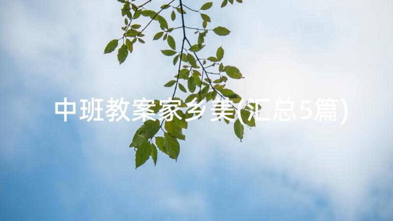 中班教案家乡美(汇总5篇)