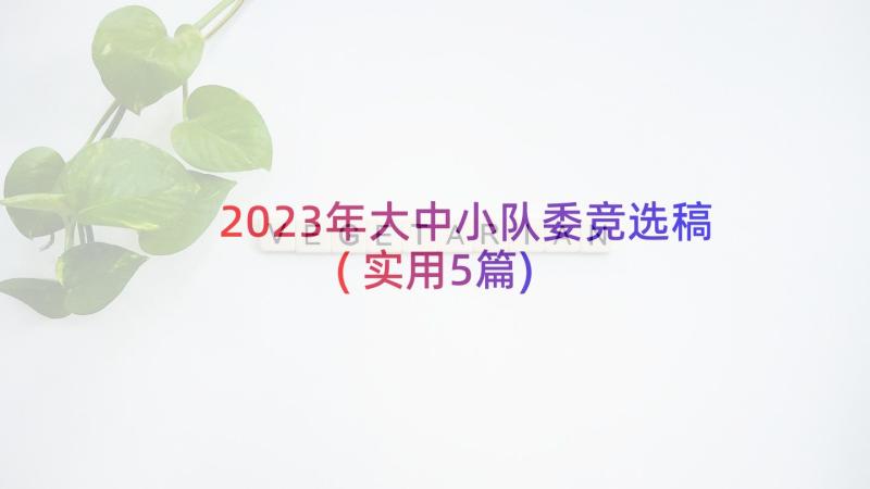 2023年大中小队委竞选稿(实用5篇)