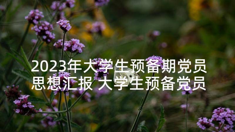 2023年大学生预备期党员思想汇报 大学生预备党员思想汇报(通用8篇)