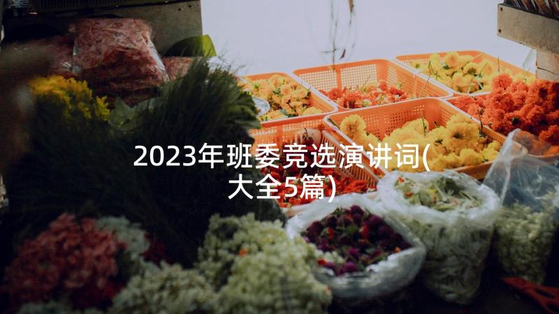 2023年班委竞选演讲词(大全5篇)