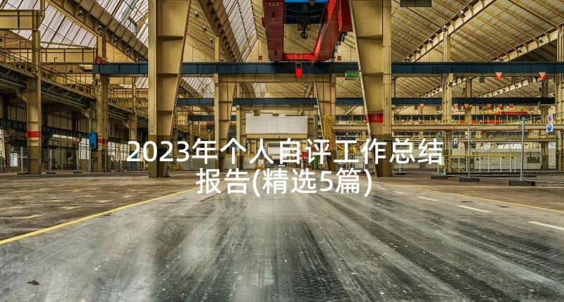 2023年个人自评工作总结报告(精选5篇)