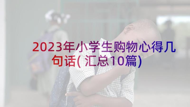 2023年小学生购物心得几句话(汇总10篇)