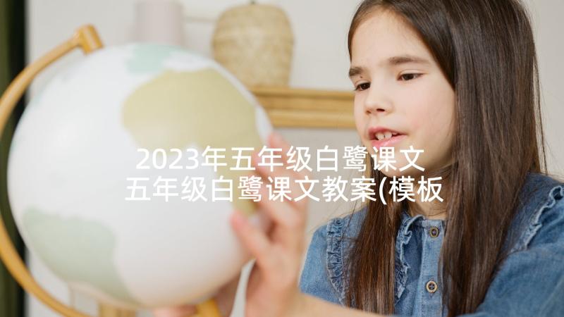 2023年五年级白鹭课文 五年级白鹭课文教案(模板10篇)