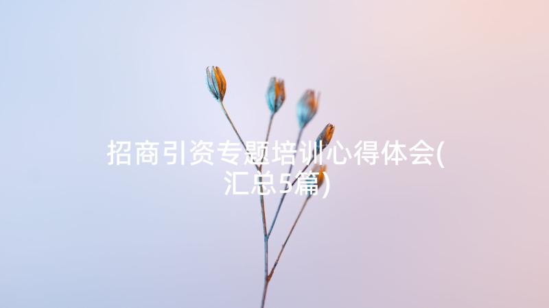 招商引资专题培训心得体会(汇总5篇)