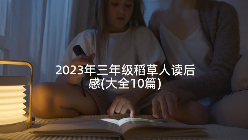 2023年三年级稻草人读后感(大全10篇)