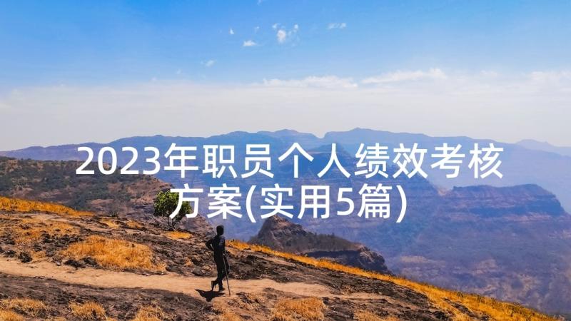 2023年职员个人绩效考核方案(实用5篇)