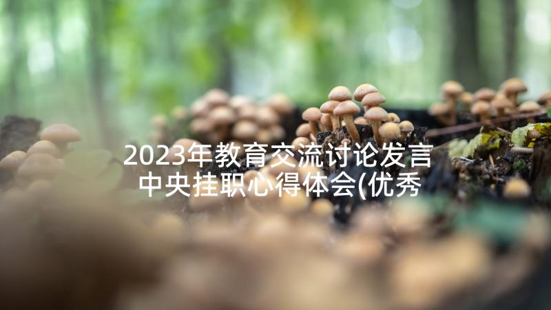 2023年教育交流讨论发言 中央挂职心得体会(优秀6篇)
