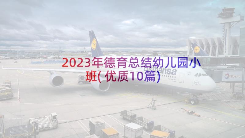 2023年德育总结幼儿园小班(优质10篇)