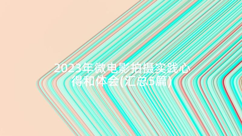 2023年微电影拍摄实践心得和体会(汇总5篇)