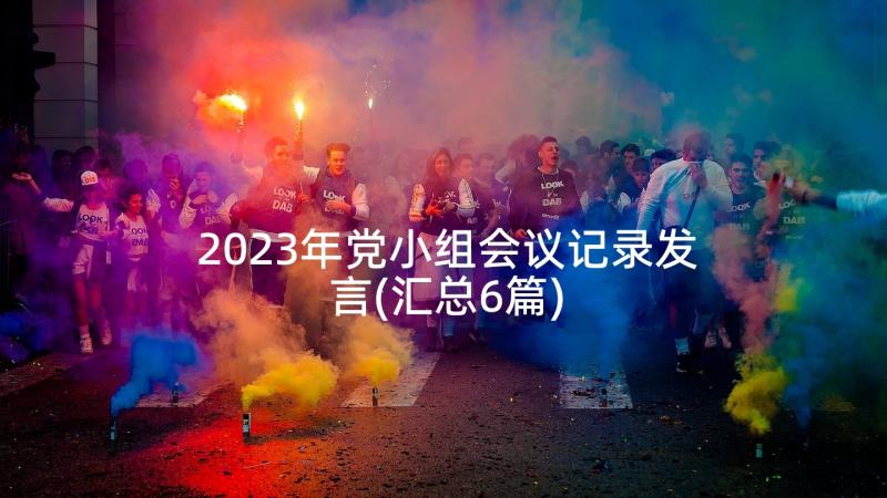 2023年党小组会议记录发言(汇总6篇)