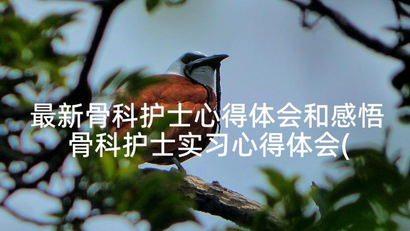 最新骨科护士心得体会和感悟 骨科护士实习心得体会(模板7篇)