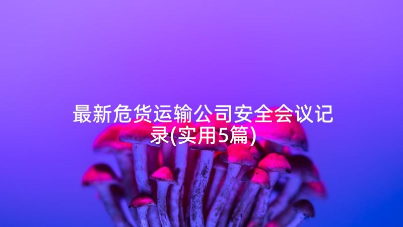 最新危货运输公司安全会议记录(实用5篇)