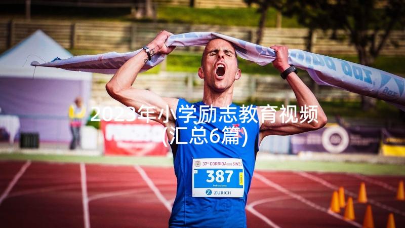 2023年小学励志教育视频(汇总6篇)