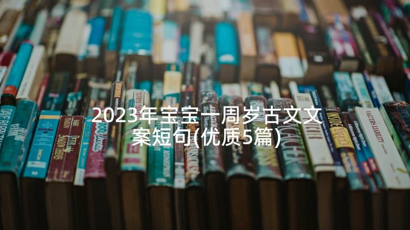 2023年宝宝一周岁古文文案短句(优质5篇)