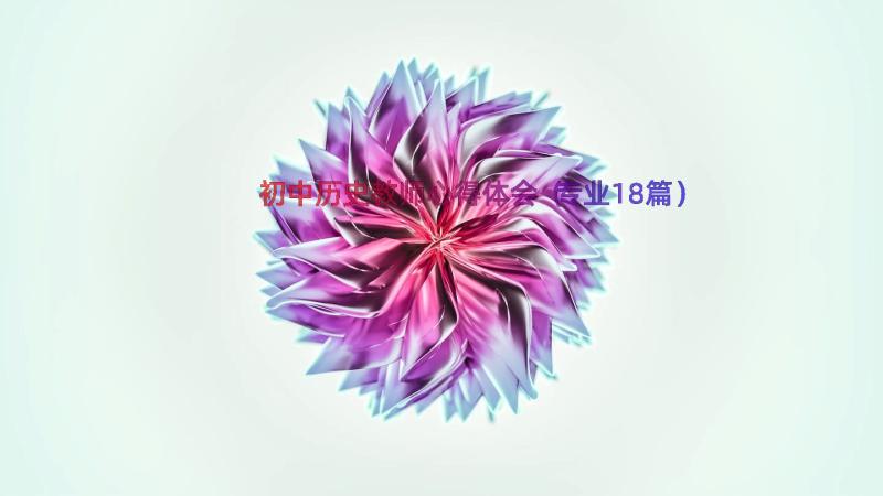 初中历史教师心得体会（专业18篇）