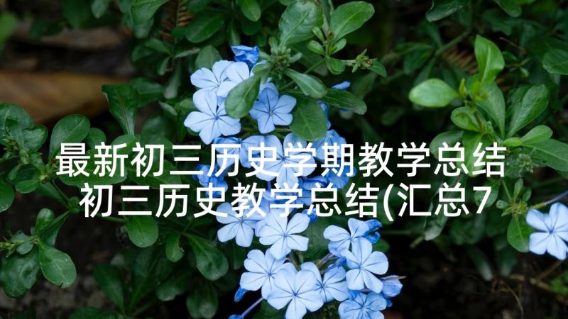 最新初三历史学期教学总结 初三历史教学总结(汇总7篇)