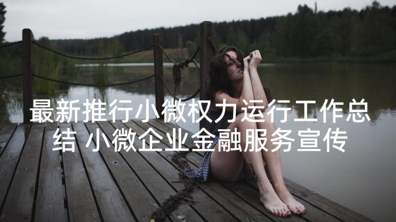 最新推行小微权力运行工作总结 小微企业金融服务宣传月活动总结(实用5篇)