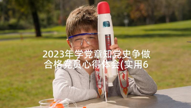 2023年学党章知党史争做合格党员心得体会(实用6篇)