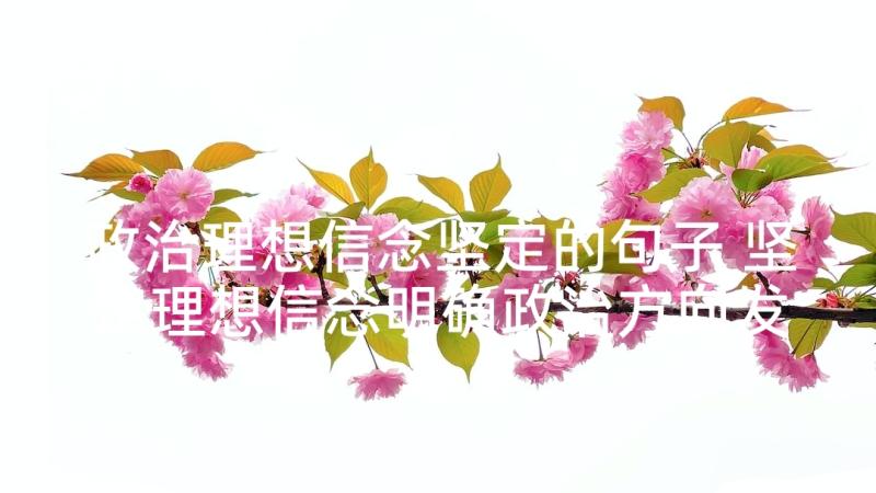 政治理想信念坚定的句子 坚定理想信念明确政治方向发言稿(优质8篇)