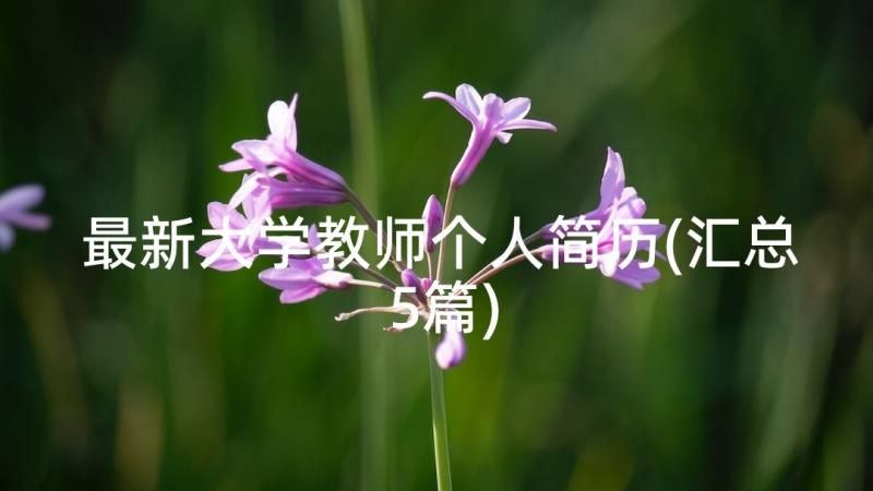 最新大学教师个人简历(汇总5篇)