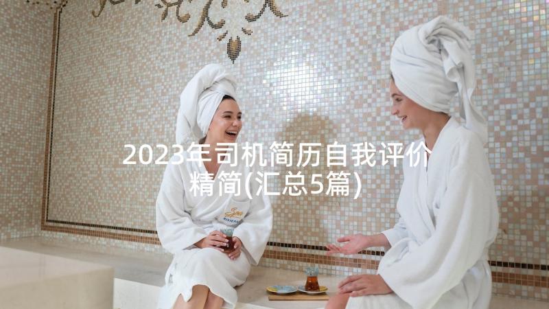 2023年司机简历自我评价精简(汇总5篇)