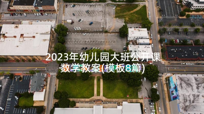 2023年幼儿园大班公开课数学教案(模板8篇)