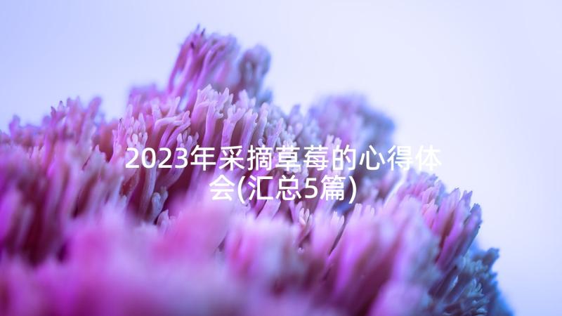 2023年采摘草莓的心得体会(汇总5篇)