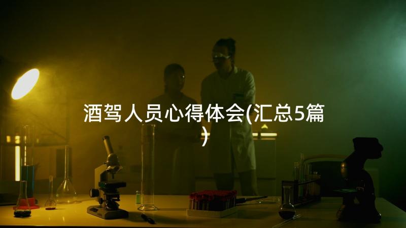 酒驾人员心得体会(汇总5篇)