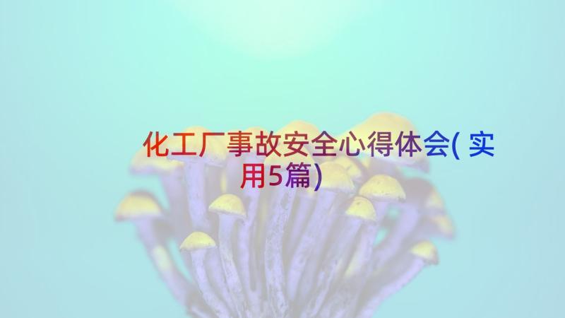 化工厂事故安全心得体会(实用5篇)