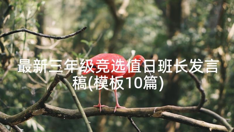 最新三年级竞选值日班长发言稿(模板10篇)