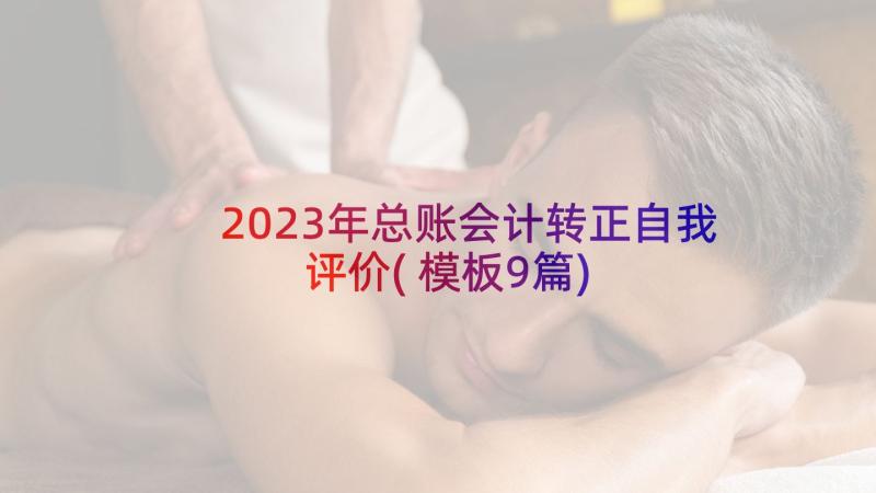 2023年总账会计转正自我评价(模板9篇)