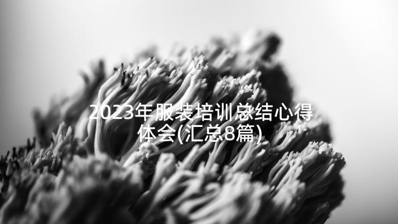 2023年服装培训总结心得体会(汇总8篇)