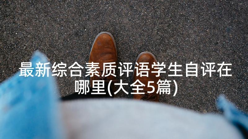 最新综合素质评语学生自评在哪里(大全5篇)