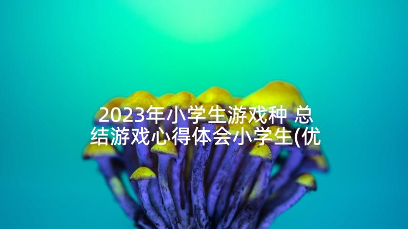 2023年小学生游戏种 总结游戏心得体会小学生(优秀9篇)