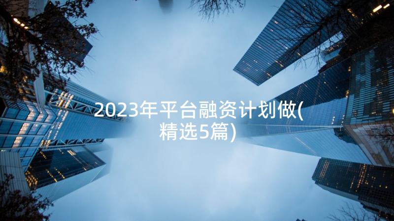 2023年平台融资计划做(精选5篇)