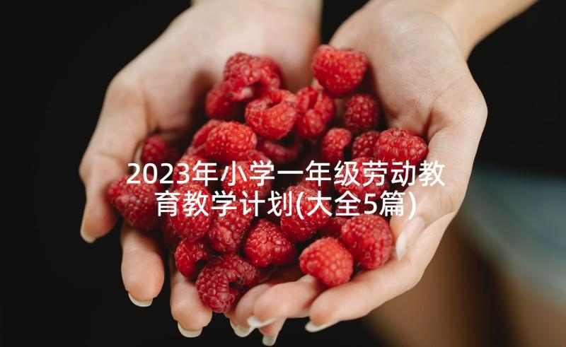 2023年小学一年级劳动教育教学计划(大全5篇)